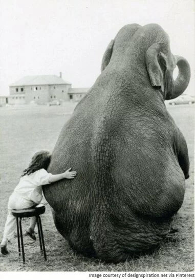 elephant&girl2