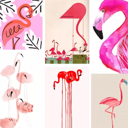 Flamingo-SQ