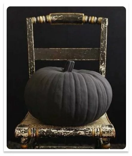 black pumpkin